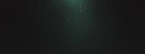 Organic Dust Particles 스톡 동영상 250445325