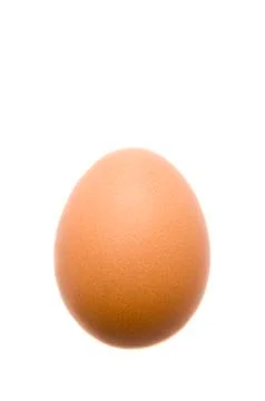 Organic egg Stock Photos