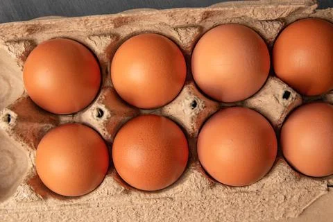 Organic egg Stock Photos