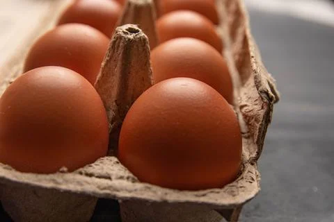 Organic egg Stock Photos