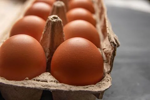 Organic egg Stock Photos