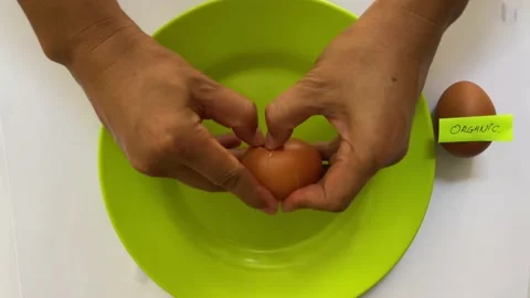 Organic Egg versus Common Egg Chicken, Fact and Myth. Stock Footage 201797387
