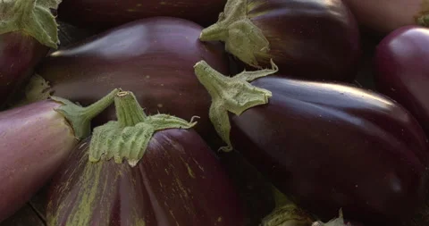 Organic eggplants. Stock Footage 307994767