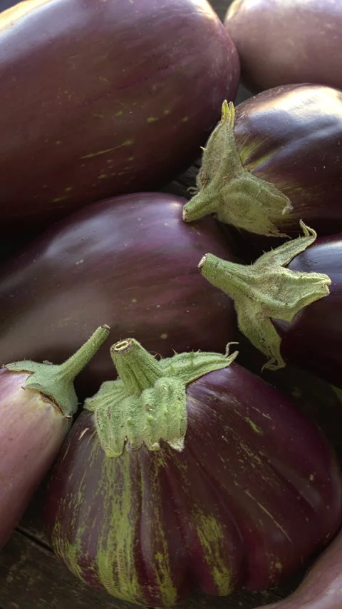 Organic eggplants. Vertical video. Stock Footage 307994593