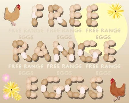 Organic eggs Stock Illustration