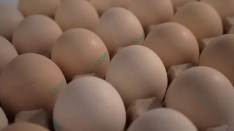Organic eggs in a pallet, close-up in studio, Genthin, Saxony Anhalt, Germany Stock Footage 334633847