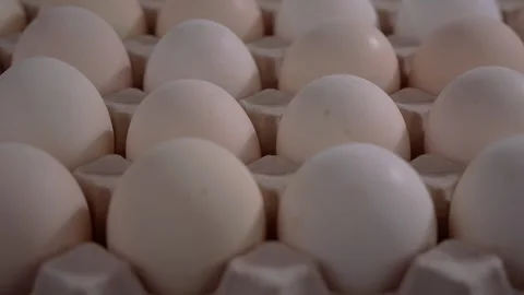 Organic eggs in a pallet, close-up in studio, Genthin, Saxony Anhalt, Germany Stock Footage 334895158