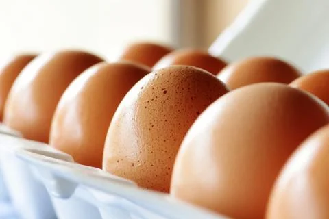 Organic eggs Stock Photos