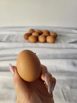 Organic eggs Stock Photos
