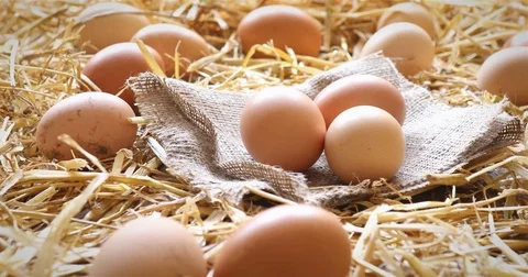 Organic eggs on rustic wood and straw Stock Footage 74125935