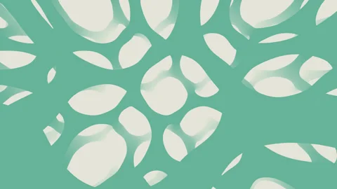 Organic Elegance in Ethereal Forest Patterns Video stock 294143525