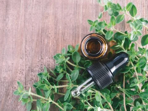Organic essential thyme oil with green leaves Stock Photos