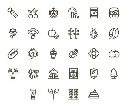 Organic Essential Vector Set including 28 PIXEL Perfect Bold Line 256x256 Ico Stock Illustration