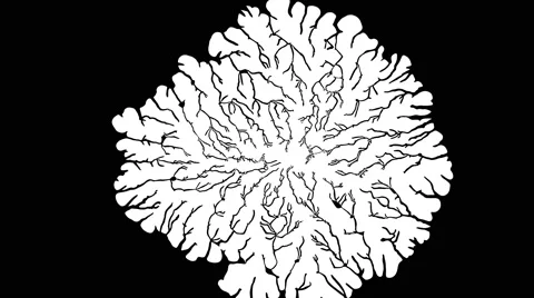 Organic expanding mask, crack pattern filling the screen with growing motion Stock Footage 66830071