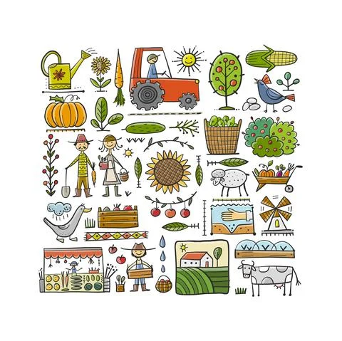 Organic Farm Background For your Design. Harvest Festival. Agriculture Stock Illustration