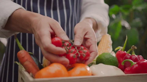 Organic farm concept. Closeup hands of professional male farmer boasting of Stock Footage 161427357