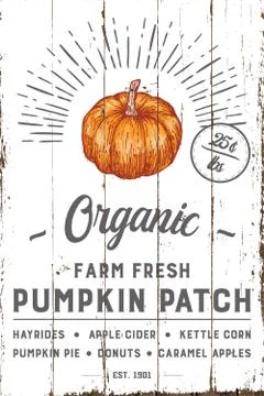 Organic Farm Fresh Pumpkin Patch with Shiplap Design Stock Illustration