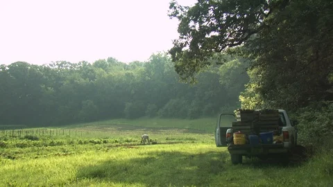 Organic Farm Harvest Stock Footage 123731333