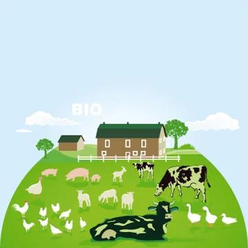 Organic farm with pasture Stock Illustration