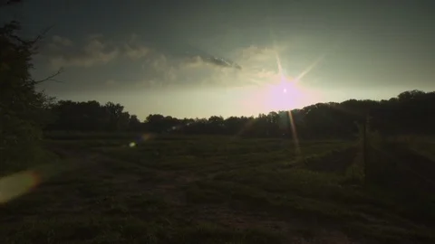 Organic Farm Sunset Stock Footage 123713117