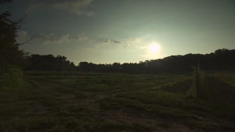 Organic Farm Sunset Stock Footage 123716002