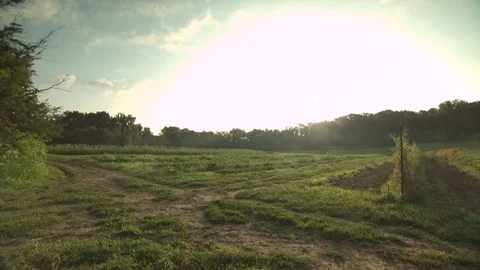 Organic Farm Sunset Stock Footage 123719287