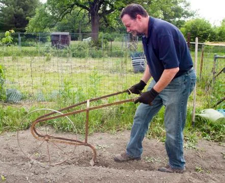Organic Farmer Using A High Wheel Cultivator To Make A Row To Sow Seed Stock Photos