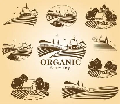Organic farming design elements. Stock Illustration