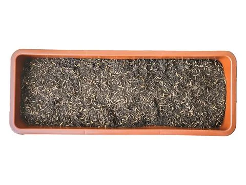 Organic fertilizer is put in a rectangular pot for growing vegetables. Stock Photos