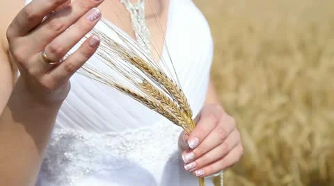 Organic field Stock Footage 12690855