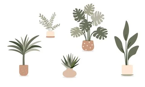 Organic flat houseplant collection. Vector illustration on white. Stock Illustration