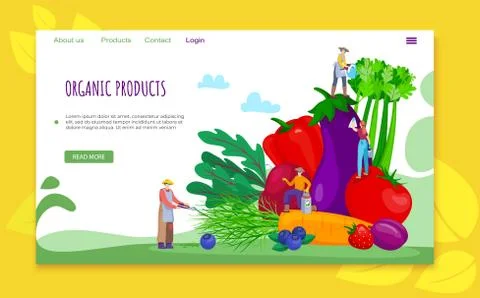 Organic flat product concept, vector illustration. Vegetable healthy food for Stock Illustration