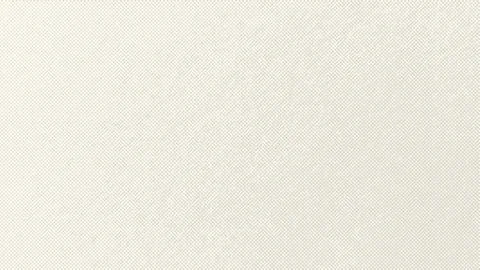 Organic fleck eggshell texture. Minimalistic background with egg shell ornament Stock Illustration