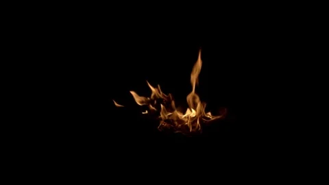 Organic Floor Blaze Compositing Element against black Stock Footage 325428061