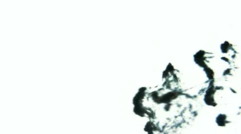 Organic flow Stock Footage 10878521