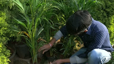 Organic flower beautiful background. Stock Footage 166672799