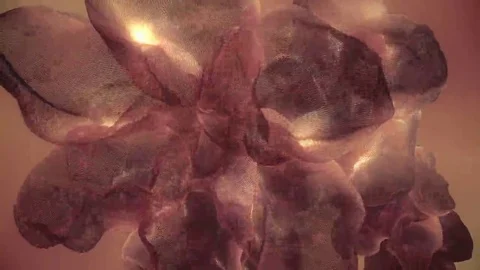 Organic Flowery Mesh Stock Footage 69196818