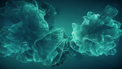 Organic Flowery Mesh Stock-Footage 69196973