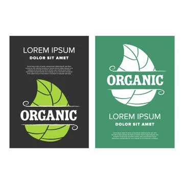 Organic food leaflet Stock Illustration