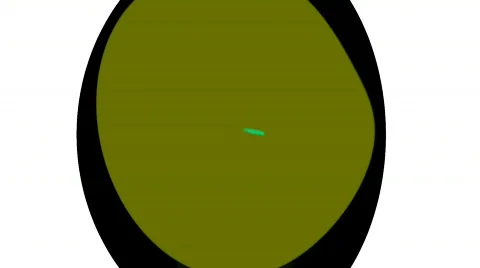 Organic Video stock 265423