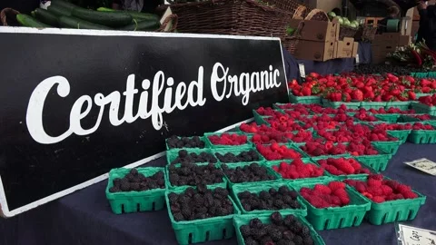 Organic Stock Footage 147632314