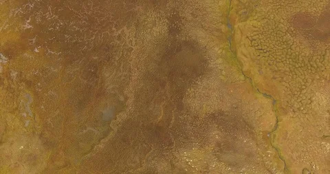 Organic Forms of Everlasting Tundra Stock-Footage 99577218