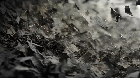 Organic Fragment of Reflection Stock Footage 308247038