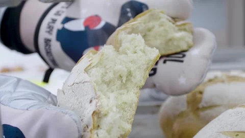 Organic fresh bread. Homemade bread baking in oven Stock Footage 280584992