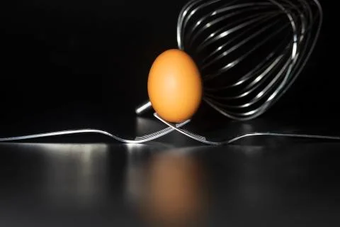 Organic fresh egg standing on two joined fork on black background Stock Photos