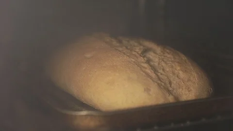 Organic fresh loaf of bread baking in the oven of a kitchen. Timelapse. 스톡 동영상 106840023