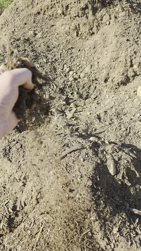 Organic fresh soil man feeling texture with hand Stock Footage 344515968