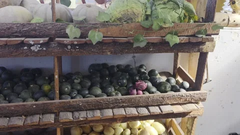 Organic fruit and vegetable store in rural community Stock Footage 344515907