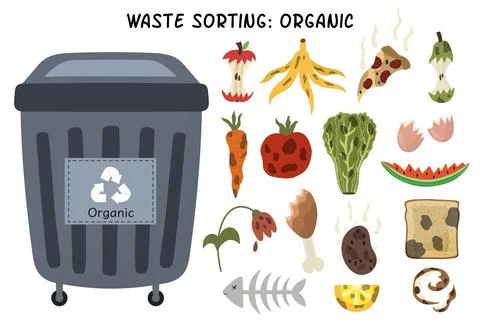 Organic garbage sorting set. Grey trash can for organic waste with rotten fruits Stock Illustration