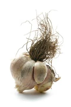 Organic garlic Stock Photos